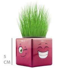 Toptan Mini Küp Çimoji Çimadam