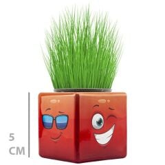 Toptan Mini Küp Çimoji Çimadam