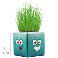 Toptan Mini Küp Çimoji Çimadam