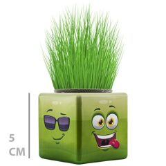 Toptan Mini Küp Çimoji Çimadam