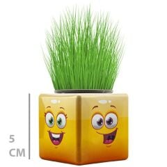 Toptan Mini Küp Çimoji Çimadam