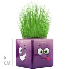 Toptan Mini Küp Çimoji Çimadam