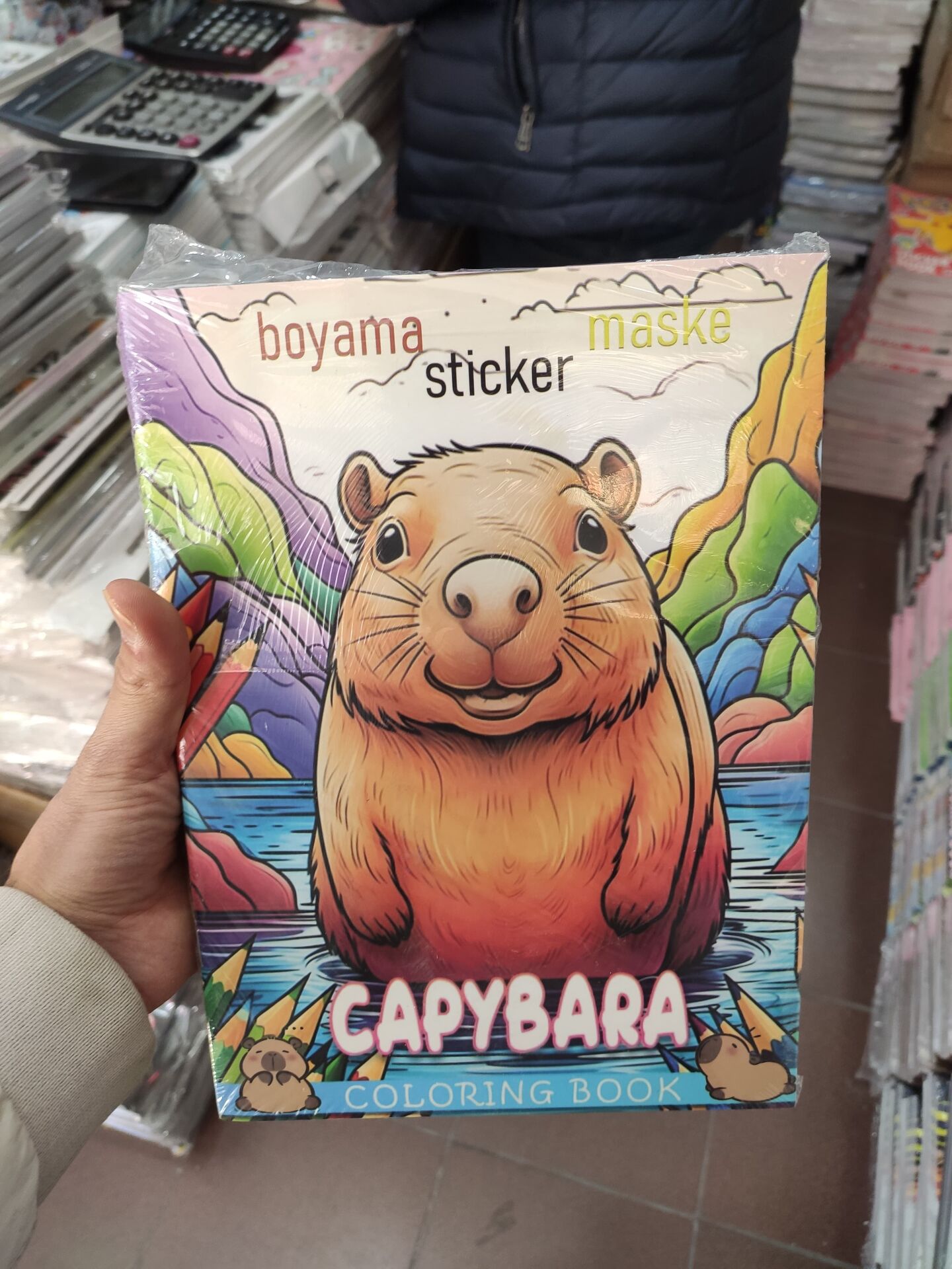 Toptan Capybara Boyama Kitabı – 20'li Paket