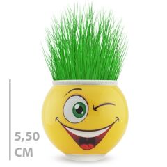 Toptan Yuvarlak Çimoji Çim Adam