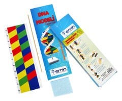 Toptan DNA Modeli Seti (10'lu)