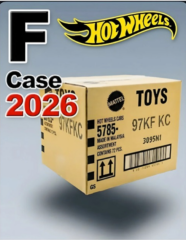 Toptan Hot Wheels Regular Model 2026 (72’li Koli)