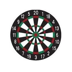 Toptan Dart İğneli 12 İnç 30 cm