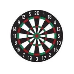 Toptan Dart İğneli 12 İnç 30 cm